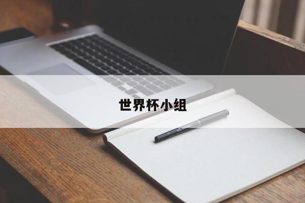 世界杯小组