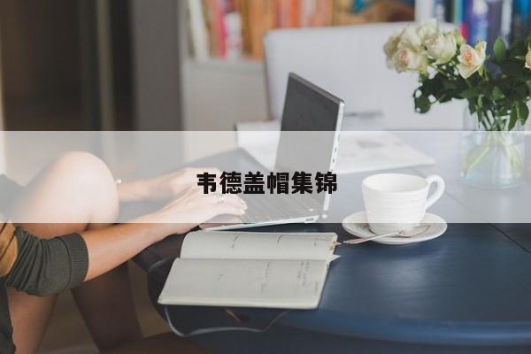 韦德盖帽集锦